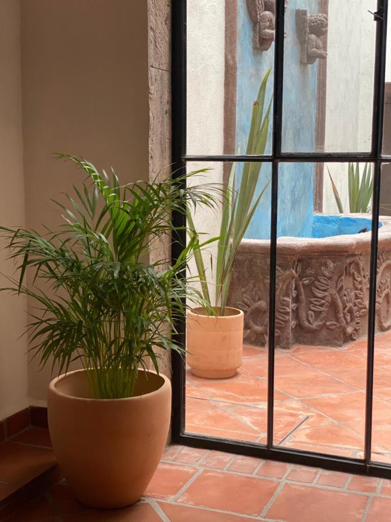 Casa Laberinto Hotel San Miguel de Allende Eksteriør billede